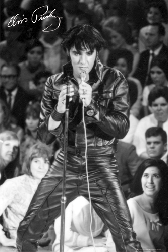 Elvis copyright free-11.jpg